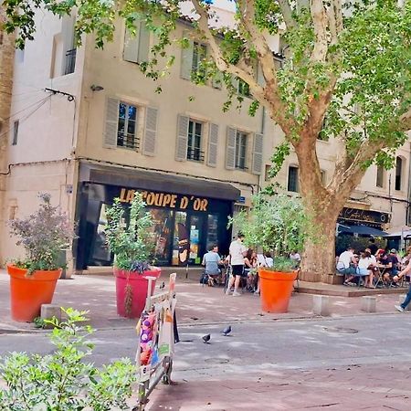 Avignon hyper-centre piéton, rénové à neuf, charmant Extérieur photo