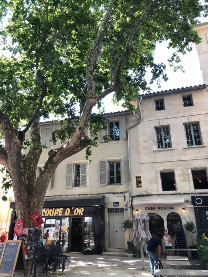 Avignon hyper-centre piéton, rénové à neuf, charmant Extérieur photo
