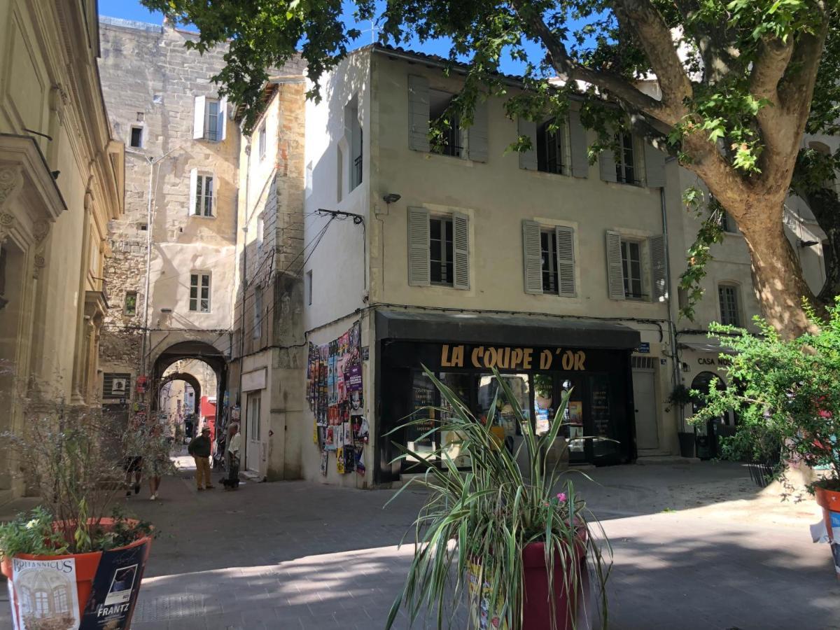 Avignon hyper-centre piéton, rénové à neuf, charmant Extérieur photo