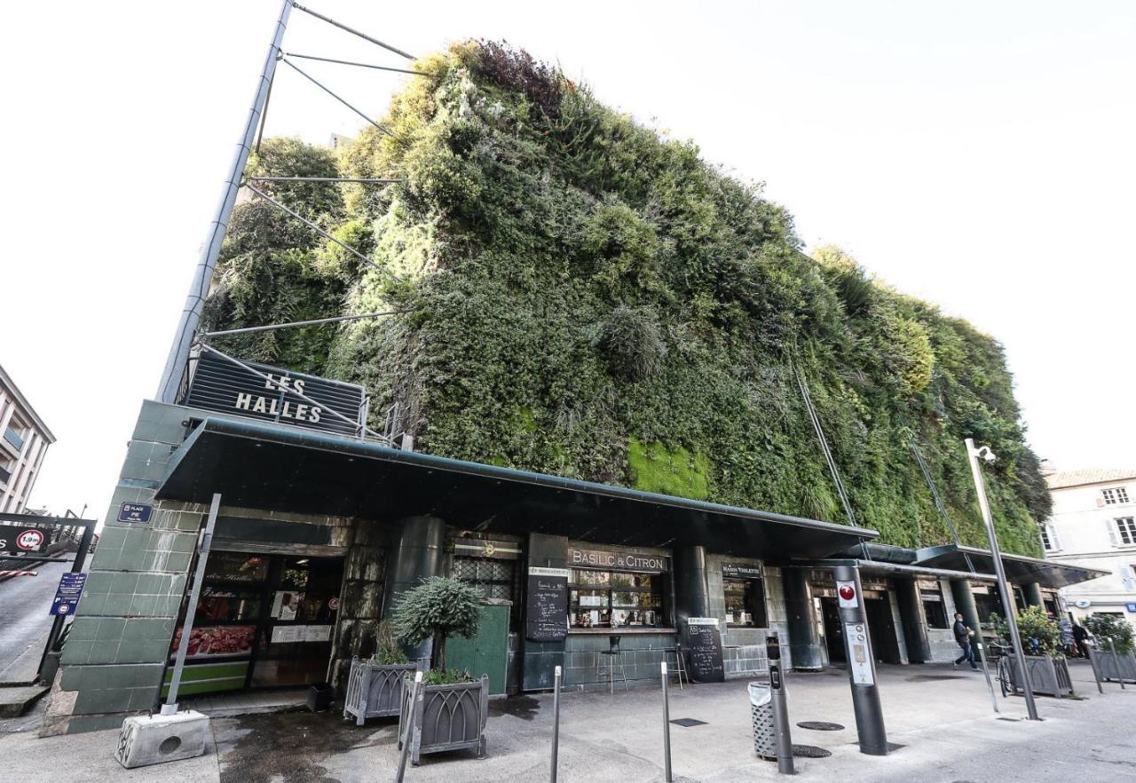 Avignon hyper-centre piéton, rénové à neuf, charmant Extérieur photo