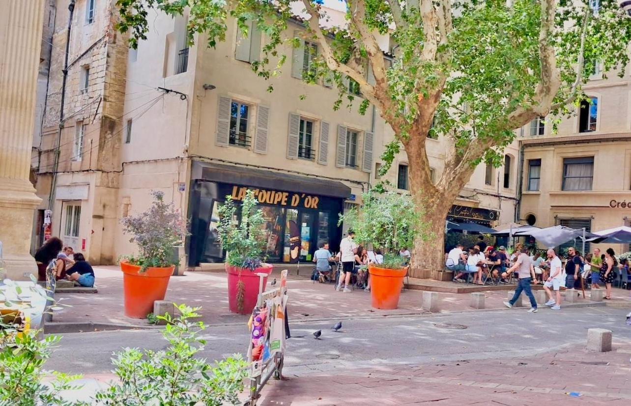 Avignon hyper-centre piéton, rénové à neuf, charmant Extérieur photo